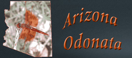 Arizona Odes